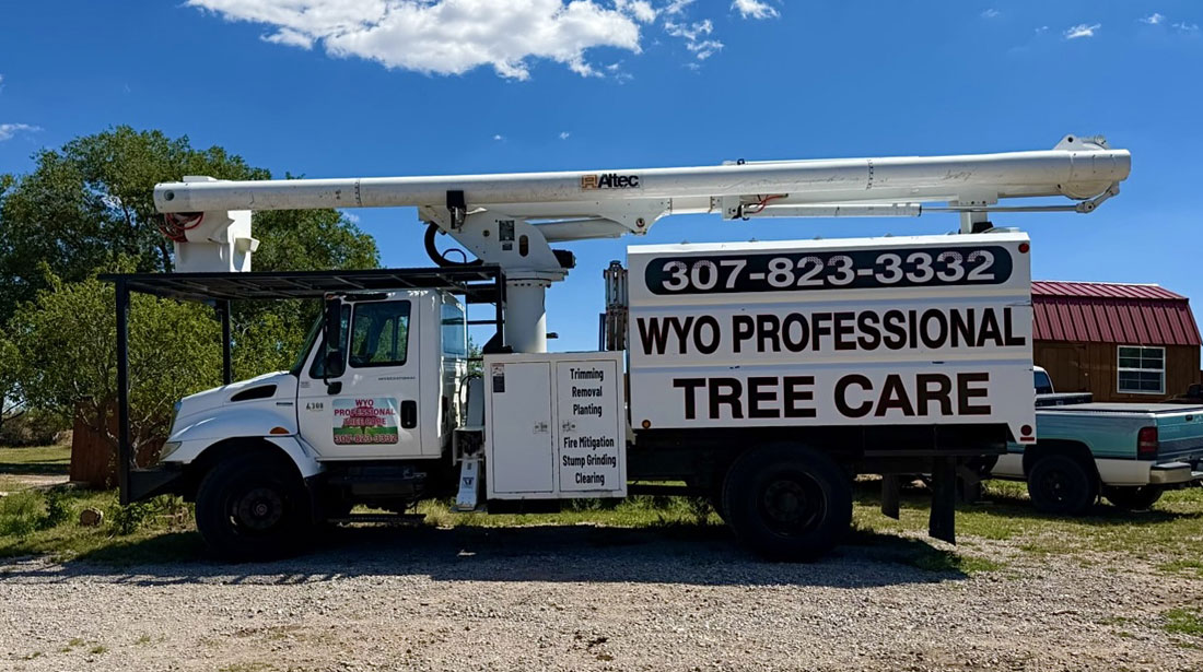 Wyoming Professional Tree Care LLC: Emergency tree removal in Cheyenne, Laramie and Wheatland